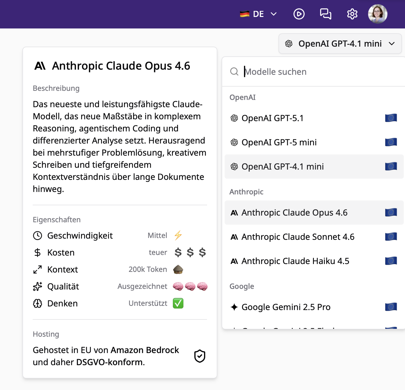 Modell-Auswahl im Chat