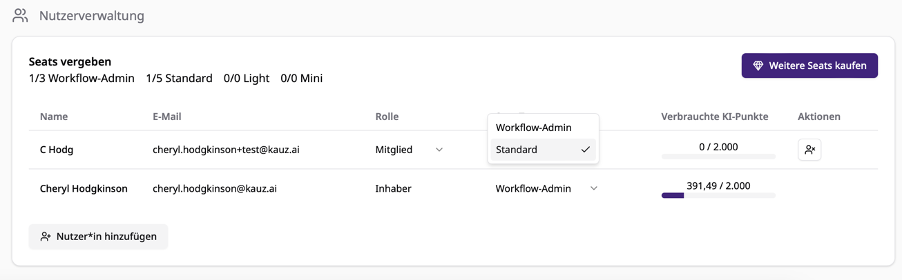 Workflow-Admin Seat zuweisen